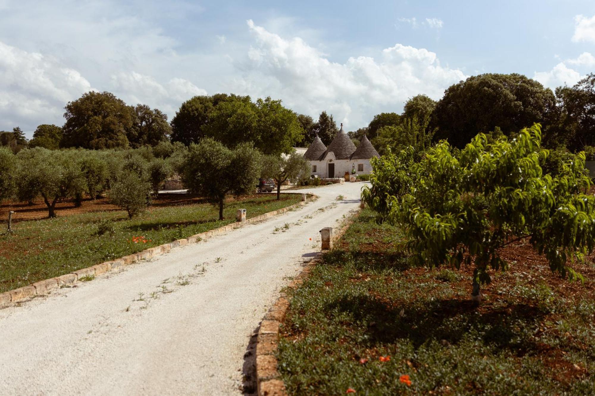 Il Trullo Di Pozzallegro لوكوروتوندو المظهر الخارجي الصورة